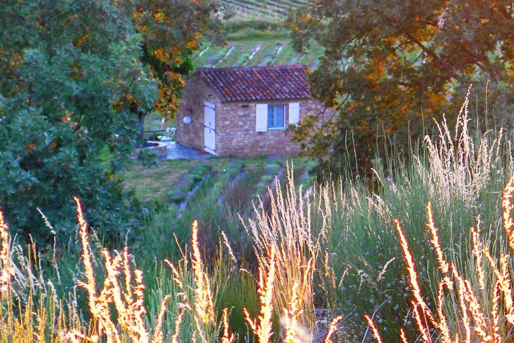 Quinta Das Lavandas Castelo de Vide Kültér fotó