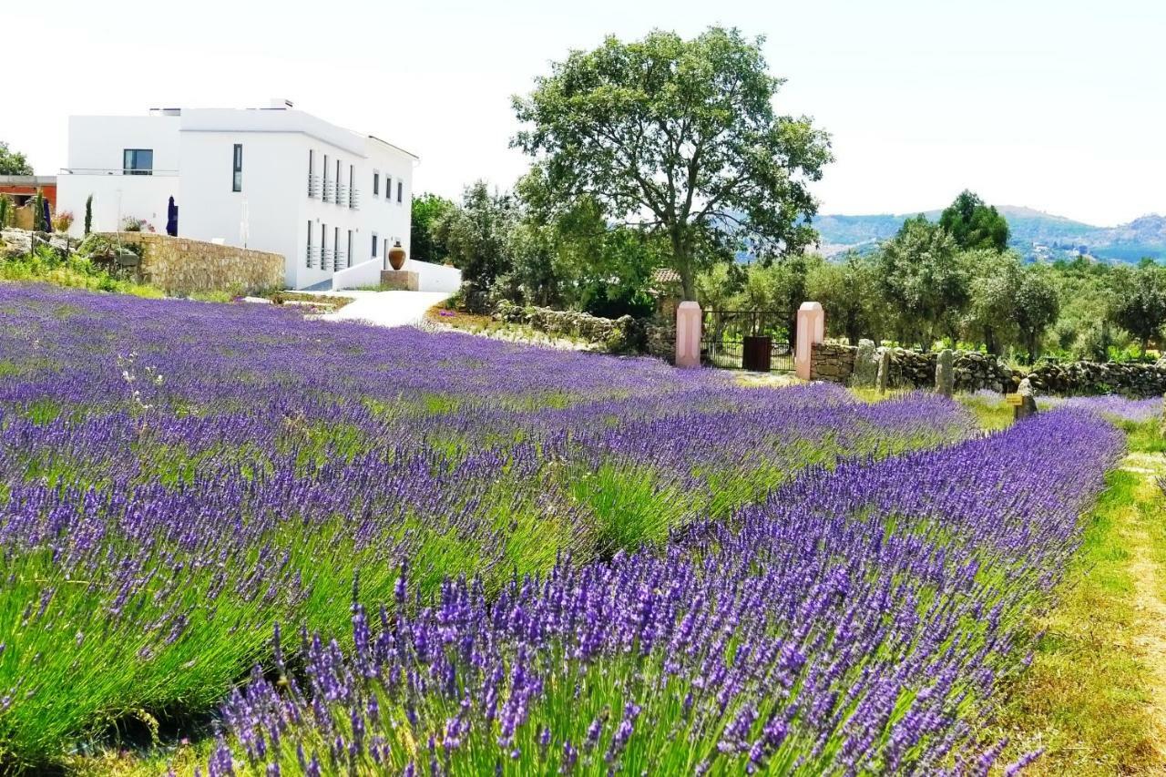 Quinta Das Lavandas Castelo de Vide Kültér fotó